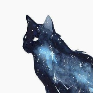 Meet your Posher, Karla